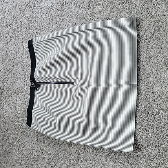 Ann Taylor Loft Skirt Size 10 - Picture 2 of 4